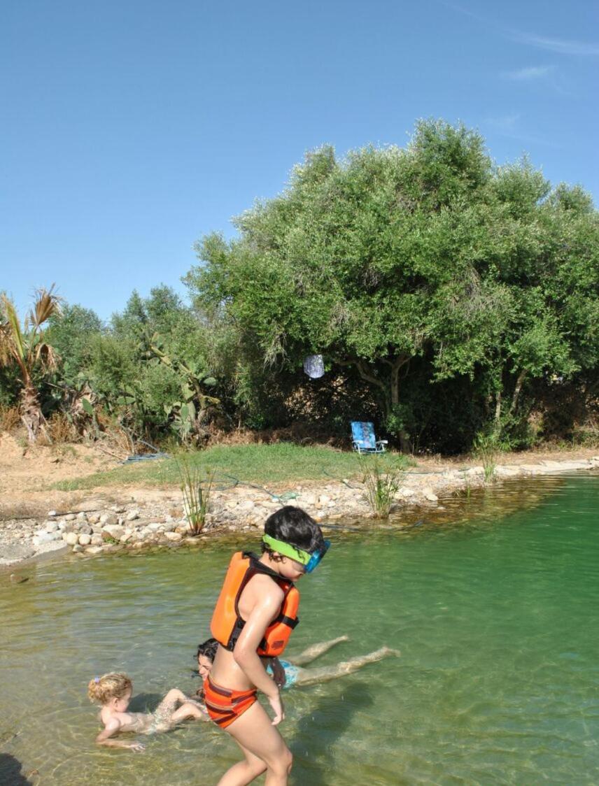 Casaleja, Entre Arboles Y Agua Villa Jerez de la Frontera Exteriör bild