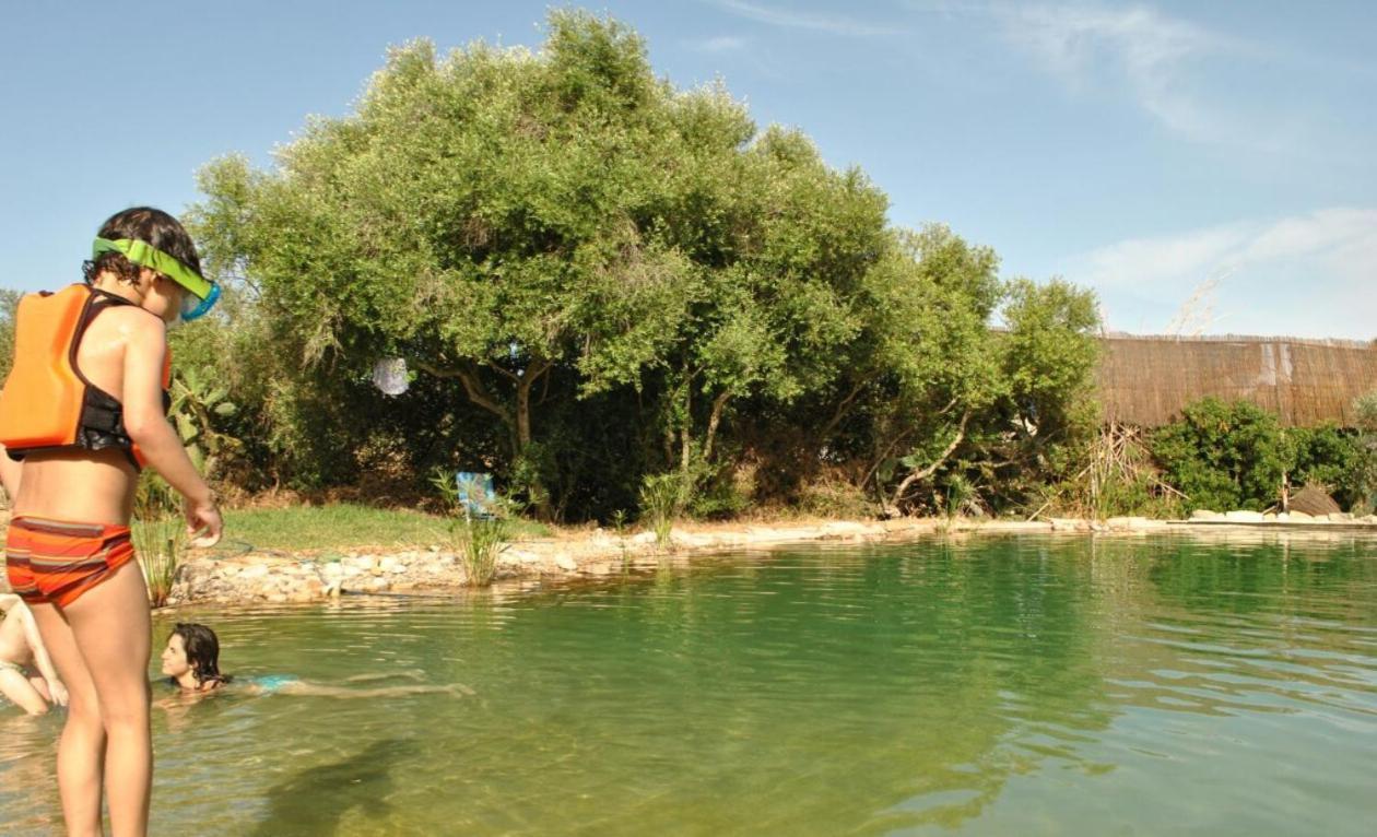 Casaleja, Entre Arboles Y Agua Villa Jerez de la Frontera Exteriör bild